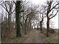 Track to Manton Forest Farm