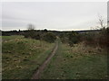 Bridleway across College Pines Golf Course