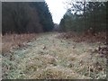 Track along edge of MOD training area