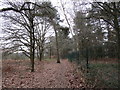 Bridleway to Hardwick