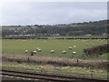 View inland from the Wales Coast Path near Point of Ayr gas terminal