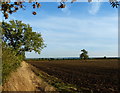 Farmland near Newfield Farm