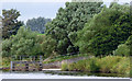 Weir overflow on the River Irvine