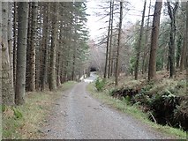 J3729 : The middle level forestry road in Donard Wood by Eric Jones