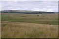 NN7306 : Rough grazing, Wester Bows by Richard Webb