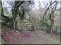 Llwybr ceffyl ger Blaencennen / Bridleway near Blaencennen