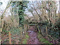 Llwybr ceffyl Cwm Ffrwd / Cwm Ffrwd bridleway