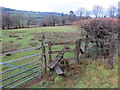 Llwybr Penrhiw / Penrhiw Path