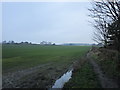 Footpath off Blackamoor Road