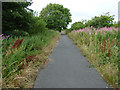 Cycle path at Irvine