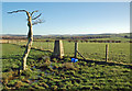 Trig Point On Happoch Hill