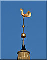 NT4728 : The weathervane on the Courthouse spire at Selkirk by Walter Baxter