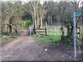 Path heading into Wendover Woods