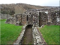 SO5300 : Ruins of Tintern Abbey by Philip Halling