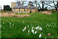 First snowdrops of the year