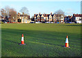 Cones in Cole Park