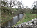 River Alyn near Tomen y Faerdre