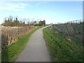 Path around Steart Marshes at Combwich