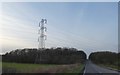 ST2243 : Pylon and Wick Park Covert by David Smith