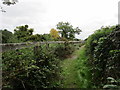 Footpath alongside Oldbury Naite Rhine