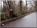 Kill your speed, not a child sign on the southern approach to Llangenny, Powys