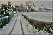 H5064 : Snow, Drumconnelly Road by Kenneth  Allen