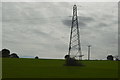 Pylon in field