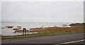 J0703 : The coastline opposite The Crescent, Blackrock, Co Louth by Eric Jones