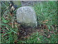 Boundary Stone, Jericho Lane