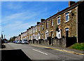 Long row of houses, Park Street, Tonna