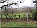 Llwybr tuag at Degfan / A path towards Tegfan