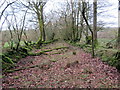 Llwybr cyhoeddus yn  Soar / A public path at Soar