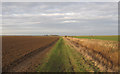 TM0306 : Farm Track, Bradwell Marshes, Bradwell on Sea by Roger Jones
