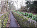 Path long the west side of Pudsey cemetery