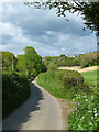 Country road near Wylde (2)