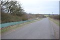 Newt fencing along the road