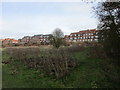 Housing by the Trent in Newark