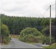 T0285 : Forest by Minor road, Wicklow Mountains by N Chadwick