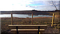 SE4527 : Bench above Big Hole at RSPB Fairburn Ings Nature Reserve by Phil Champion