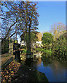 TL4945 : Hinxton: sluice and water mill by John Sutton
