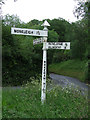 Old Direction Sign - Signpost by Rakeham Hill, east of Frithelstock