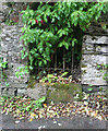 Old Wayside Cross by Belle Vue Road