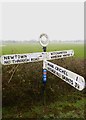 Old Direction Sign - Signpost west of New Town, Witchampton Parish