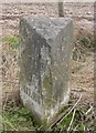 Old Milestone by the A30,  Firsdown Parish