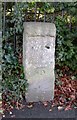 Old Milestone by the A360, Devizes Road, Bemerton, Salisbury