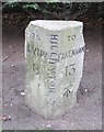 Old Milestone by the A148, Hillington