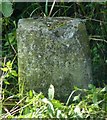 Old Milestone, A1017, Rowley Hill, Sturmer