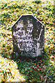 Old Milestone by the A458, Llanerfyl