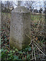 Old Milestone by the former B1027, Colchester Road, St Osyth