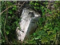 Old Milestone by the A846, Newton of Kilmeny